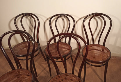 Set di cinque sedie bentwood stile thonet drava con sedili in paglia e schienali curvi in legno chiaro